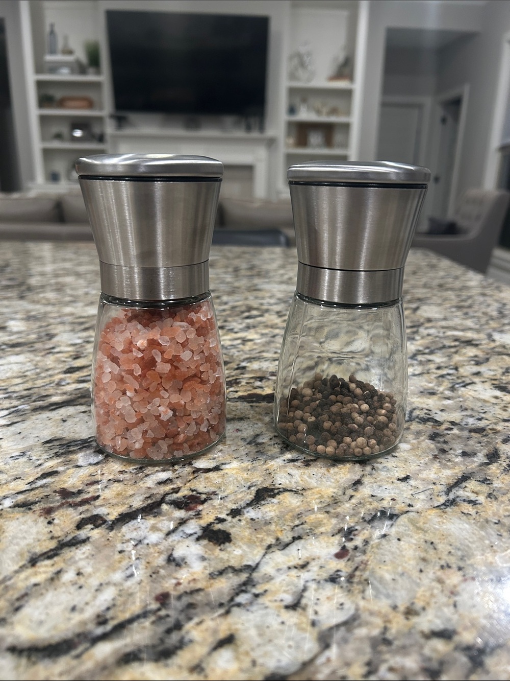 Stainless Steel Spice and Glass Jar & Grinder Set - Clear Glass Jar & Silver Lid